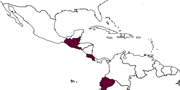 map of Steniolia guatemalensis     (Rohwer, 1915)